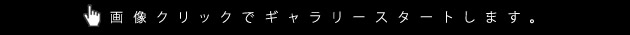 画像クリックでギャラリースタートします。